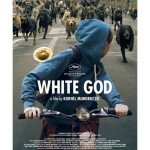 white god